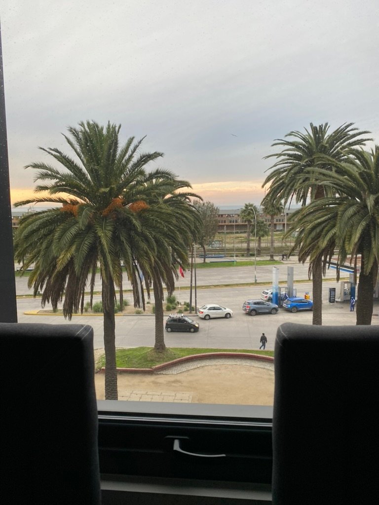 Vista a las palmeras y Muelle Barón desde el comedor del departamento